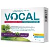 Vocal Pastilky bez cukru s příchutí Černý ryb.24ks