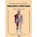 Bolesti páteře a velkých kloubů 1 - Radomír Růžička; Rudolf Sosík