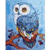 Amparo Miranda® Maľovanie podľa čísiel Sovička E994