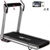 FLOW FITNESS DTM400i walking treadmill