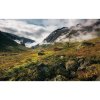 Komar Vliesová fototapeta Pure Norway 450 x 280 cm