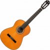 Pasadena PC-100 4/4 Natural Klasická gitara