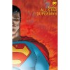 DC Comics Absolute All-Star Superman