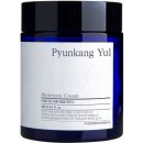 Pyunkang Yul Moisture Cream hydratačný krém na tvár 100 ml