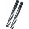 BITUBO Fork springs kit BITUBO Progressive (+1 Lt. Oil)