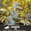 Blimburn Seeds Cannabis Seeds Chemdog #4 Feminized 9 ks