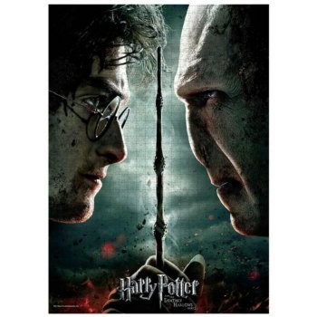  Harry Potter Puzzle Harry Vs Voldemort Official Merchandising  Potter, SD Toys, Dirac Sdtwrn23240, One Size : Electronics