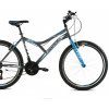 Bicykel Capriolo Diavolo 600 Grey/Blue 2021 M 2021