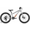 Rock Machine Riff Tr 20 detský bicykel, gloss limerock grey