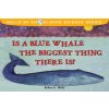 Is The Blue Whale The Biggest Thing?