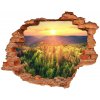 Foto fotografie diera na stenu Forest sunset 90x70 cm