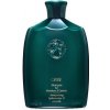 Oribe Moisture & Control Shampoo for Moisture & Control 250 ml