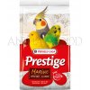 VERSELE-LAGA Prestige Shell Sand MARINE 25kg