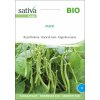 Sativa Bio fazuľa kríčková 