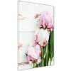 Vertikálny foto obraz akrylový na stenu Pivoňka 50x100 cm