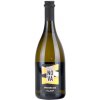 Villa Nova Treviso Frizzante Prosecco D.O.C 0,75l (čistá fľaša)