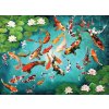 Puzzle Eurographics Puzzle Koi kapry 1000 dielikov (6000-5696)