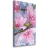 Vertikálny foto obraz na plátne do obývačky Magnolie 50x100 cm