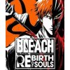 Bleach Rebirth of Souls (Steam) (EU) (PC)