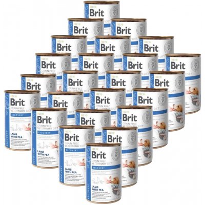 Brit Veterinary Diets GF cat Recovery 24 x 0,4 kg
