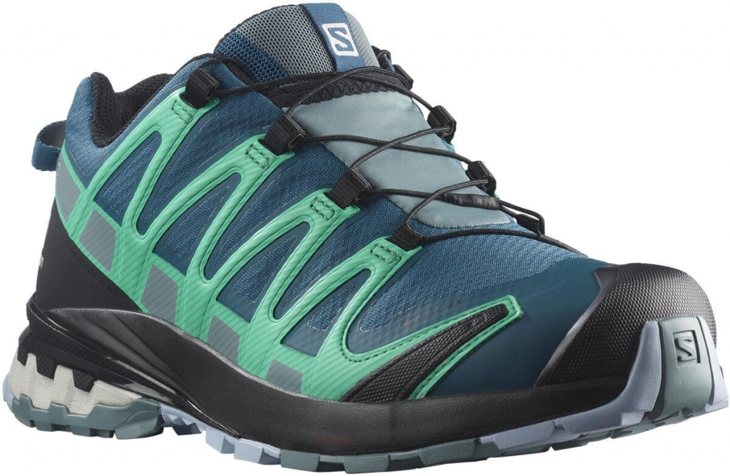 Salomon XA PRO 3D v8 GTX W L41629600 Legion Blue/Trooper/Mint Leaf