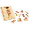 Bigjigs Toys drevené puzzle anatómie – dievča
