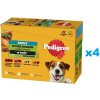 Pedigree Adult s kuracím hovädzím morčacím jahňacím mäsom so zeleninou v omáčke 48 x 100 g