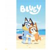 FLÍSOVÁ DEKA BLUEY 100x150 DETSKÁ DEKORAČNÁ BINGO DO ŠKÔLKY