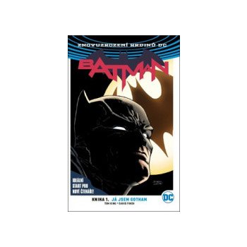 Batman: Kniha 1. Já jsem Gotham brož.