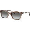 Emporio Armani EA4238 61953C