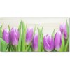 Foto obraz akrylové sklo Fialové tulipány 100x50 cm