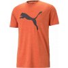 Pánske športové tričko Puma, TRAIN FAV HEATHER CAT TEE oranžová,čierna S