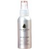 Famaco dezodorant do topánok 100 ml