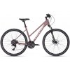 Kellys Pheebe 30 2025