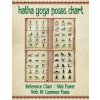 Hatha Yoga Poses Chart (The Mindful Word)(Brožovaná)
