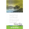 E-kniha Žítkovské bohyně - Kateřina Tučková