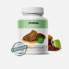 MycoMedica Chaga 90 tabliet 90 kapsul