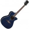 Eko guitars NXT A100ce