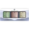 Chesapeake Bay Candle WELLNESS 3 ks