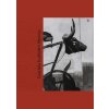 Graciela Iturbide’s Mexico: Photographs - Kristen Gresh, MFA Publications - The Museum of Fine Arts, Boston