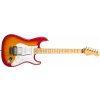 Fender Stratocaster Floyd Rose