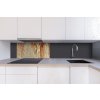 DIMEX | Dibond doska za kuchynskú linku | DBW-08040-151 Výstredná textúra múru| 80 x 40 cm + Dibond obkladová doska Dimex do kuchyne Výstredná textúra múruv rozmere 80 x 40 cm