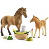 Schleich 42432 Set žriebä a Quarter kôň so šteniatkom a doplnkami