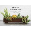 How to Window Box (Chantal Aida Gordon,Ryan Benoit)(Pevná)