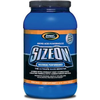 Gaspari Size On 1632 g