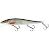 WESTIN - Wobler Jerkbite SR Floating Real Roach 13,5 cm 22 g