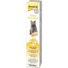 Gimcat Kase Paste s Biotinem 50 g