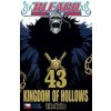 CREW Bleach 43: Kingdom of Hollows