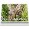 Vikpap - stolný kalendár Zvieratká 2026, 22 × 14,8 cm