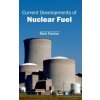 Current Developments of Nuclear Fuel (Matt Fulcher)(Pevná)